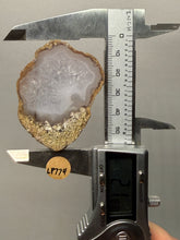 Load image into Gallery viewer, Natural Laguna Agate Collector Mineral Specimen | Chihuahua, Mexico
