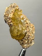 Load image into Gallery viewer, Vibrant Yellow Barite | Collector Display Specimen | Taourirt Mine, Morocco
