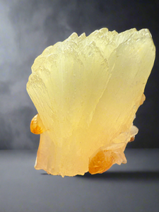 Golden Yellow Stilbite + Golden Calcite • Maharashtra, India