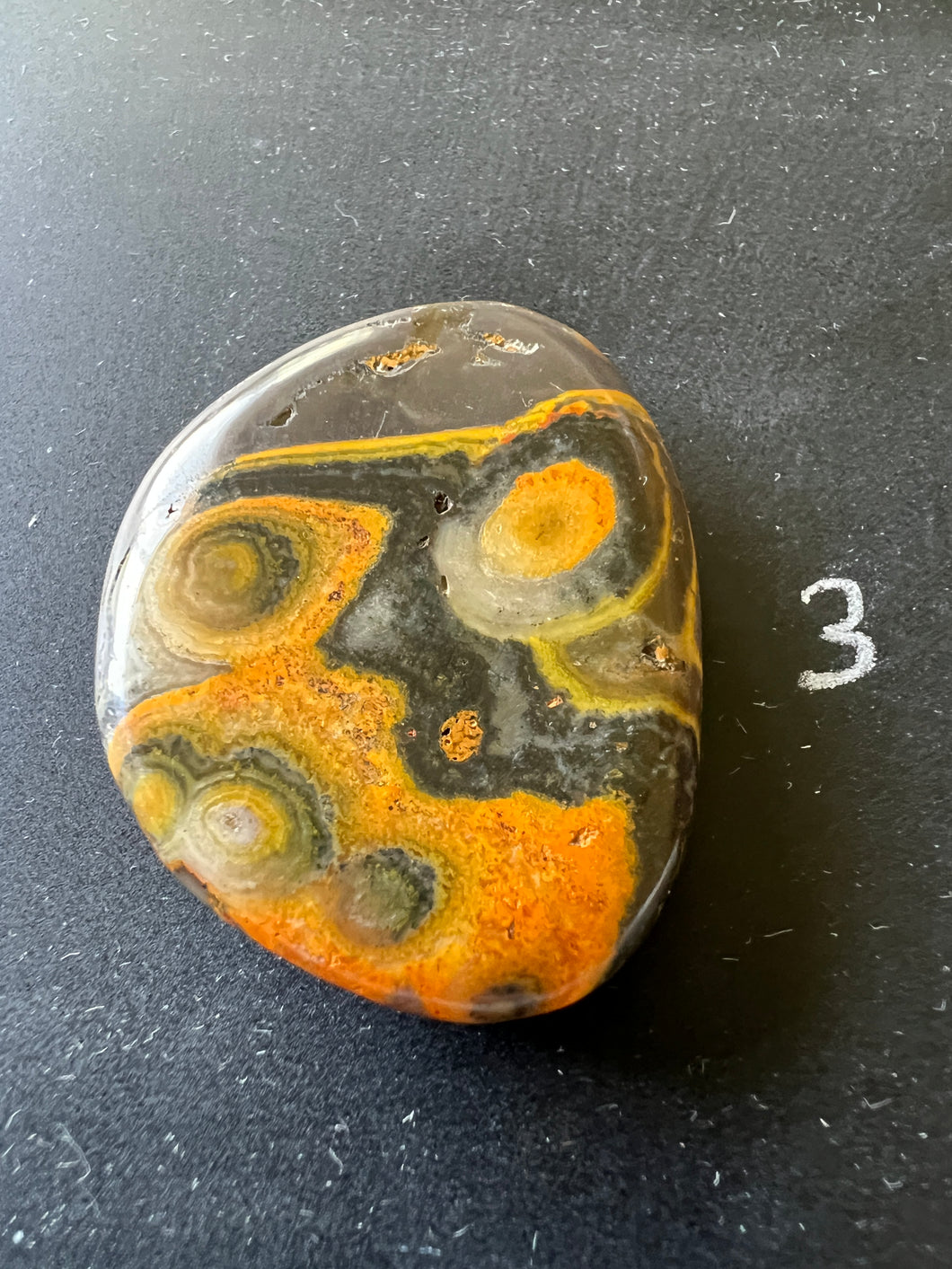 Bumblebee Jasper Agate Palm Stone from West Java, Indonesia • AAA High Grade