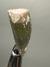 Load image into Gallery viewer, Raw Bi-Color Pink and Green Tourmaline Crystal Specimen | Ocean View Mine, Pala, California, USA

