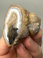 Load image into Gallery viewer, Natural Laguna Agate Collector Mineral Specimen | Chihuahua, Mexico
