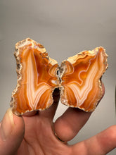 Load image into Gallery viewer, High-Grade Indonesian Sumatra Agate Pair – Vibrant Banded Chalcedony with Rich Color Zoning | Ethical Lapidary &amp; Collector Display Specimens
