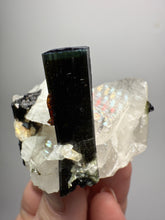 Load image into Gallery viewer, Blue Cap Dark Green Stak Nala Tourmaline and Quartz on Cleavelandite Matrix – Haramosh Mountains, Pakistan
