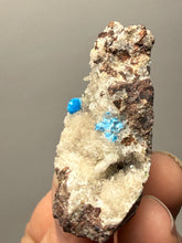 Load image into Gallery viewer, Rare Electric Blue Pentagonite &amp; Cavansite on Druzy Matrix | Collector Mineral Specimen | Wagholi Quarry, India

