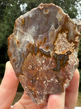 Load image into Gallery viewer, Mystical Turkish Agate with Intriguing Inclusions – Great Banding and Eyes
