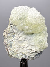 Load image into Gallery viewer, Vibrant Yellow Brucite Thumbnail Mineral Specimen | Collector Crystal from Killa Saifullah District in Balochistan Province, Pakistan
