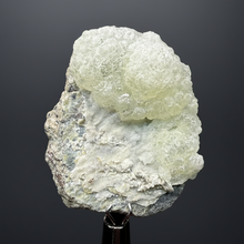 Load image into Gallery viewer, Vibrant Yellow Brucite Thumbnail Mineral Specimen | Collector Crystal from Killa Saifullah District in Balochistan Province, Pakistan
