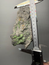 Load image into Gallery viewer, High-Grade Green Wavellite Collectors Specimen - Radiating Botryoidal Crystal Formation - Arkansas, USA

