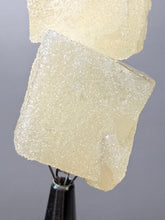 Load image into Gallery viewer, Rare Druzy Golden “Diamond” Calcite on Zeolite Matrix — Maharashtra, India | Collector Cabinet Specimen
