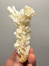 Load image into Gallery viewer, 3.7” High-Grade Flower Calcite Specimen | Wenshan Mine, Yunnan, China | Collector Mineral Display
