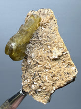 Load image into Gallery viewer, Vibrant Yellow Barite | Collector Display Specimen | Taourirt Mine, Morocco
