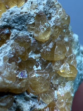 Load image into Gallery viewer, Hessonite Garnet Cluster on Matrix – Natural Collector Specimen from Pakistan | High-Grade Orange-Red Garnet Crystals

