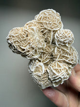 Load image into Gallery viewer, Desert Rose Selenite (Gypsum) — Mineral Display Specimen | Mexico
