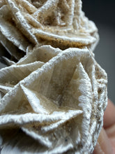Load image into Gallery viewer, Desert Rose Selenite (Gypsum) — Mineral Display Specimen | Mexico
