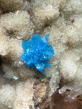 Load image into Gallery viewer, Rare Electric Blue Pentagonite on Druzy Matrix – Collector Mineral Specimen | India
