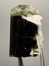 Load image into Gallery viewer, Green Cap Stak Nala Tourmaline with Cleavelandite – Haramosh Mountains, Pakistan | Thumbnail Specimen
