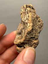 Load image into Gallery viewer, Premium Sumatra Agate (Banded Chalcedony) Display Specimen | Indonesia
