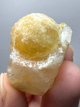 Load image into Gallery viewer, Rare Botryoidal Yellow Fluorite on Quartz Matrix  Collector Mineral Specimen – Maharashtra, India
