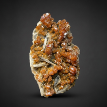 Load image into Gallery viewer, Natural Vanadinite on Matrix | Collector Mineral Specimen | Morocco
