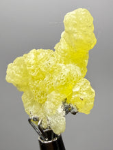 Load image into Gallery viewer, Vibrant Yellow Brucite Thumbnail Mineral Specimen | Collector Crystal from Killa Saifullah District in Balochistan Province, Pakistan
