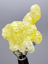 Load image into Gallery viewer, Vibrant Yellow Brucite Thumbnail Mineral Specimen | Collector Crystal from Killa Saifullah District in Balochistan Province, Pakistan

