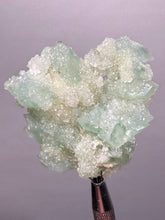 Load image into Gallery viewer, Luminous Mint Apophyllite with Glittering Druzy Sugar Quartz – India
