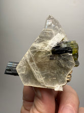 Load image into Gallery viewer, Blue Cap &amp; Green Cap Dark Green Stak Nala Tourmaline on Cleavelandite Matrix – Haramosh Mountains, Pakistan
