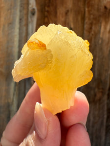 Golden Yellow Stilbite + Golden Calcite • Maharashtra, India