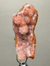 Load image into Gallery viewer, “Goblin Chalcedony” Pink &amp; Orange Druzy Botryoidal Stalactites— Tichka Massif, High Atlas, Morocco
