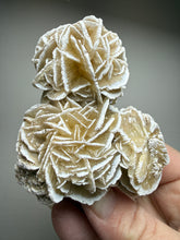 Load image into Gallery viewer, Desert Rose Selenite (Gypsum) — Mineral Display Specimen | Mexico

