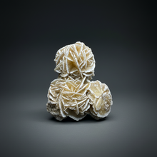 Load image into Gallery viewer, Desert Rose Selenite (Gypsum) — Mineral Display Specimen | Mexico
