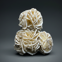 Load image into Gallery viewer, Desert Rose Selenite (Gypsum) — Mineral Display Specimen | Mexico
