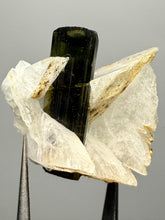 Load image into Gallery viewer, Dark Green Cap Stak Nala Tourmaline and Cleavelandite – Haramosh Mountains, Pakistan | Thumbnail Specimen
