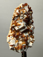Load image into Gallery viewer, Hessonite Garnet on Feldspar | Mineral Collector Specimen | Pakistan
