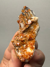 Load image into Gallery viewer, Natural Vanadinite on Matrix | Collector Mineral Specimen | Morocco
