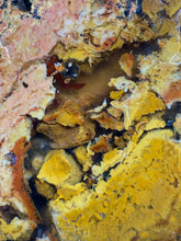 Load image into Gallery viewer, MUSEUM Turkish Agate with Intriguing Inclusions – Great Sticks, Banding and Eyes - Turkey
