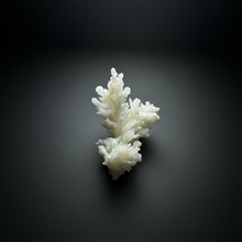 Load image into Gallery viewer, White Coral Aragonite Crystal Specimen – Wenshan Mine, Yunnan, China
