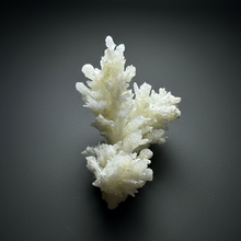 Load image into Gallery viewer, White Coral Aragonite Crystal Specimen – Wenshan Mine, Yunnan, China

