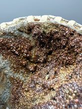 Load image into Gallery viewer, Bivalve (Pelecypoda) Fossil Sea Shell with Chalcopyrite | Mineralized Fossil Specimen | Indonesia
