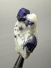Load image into Gallery viewer, Afghan Lazurite Specimen | Deep Blue Lapis-Grade Crystal on Matrix | Collector Display Mineral
