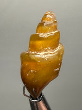 Load image into Gallery viewer, Agatized Gastropod Fossil Specimen | Morocco
