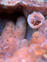 Load image into Gallery viewer, “Goblin Chalcedony” Pink &amp; Orange Druzy Botryoidal Stalactites — Tichka Massif, High Atlas, Morocco
