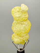 Load image into Gallery viewer, Vibrant Yellow Brucite Thumbnail Mineral Specimen | Collector Crystal from Killa Saifullah District in Balochistan Province, Pakistan
