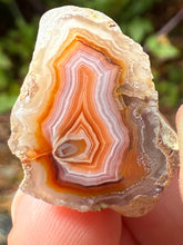 Load image into Gallery viewer, High-Grade Parallax Banded Laguna Agate – Bright Orange, Red, &amp; White Banding from Mexico
