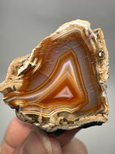 Load image into Gallery viewer, Indonesian Sumatra Agate Half – Vibrant Banded Chalcedony with Rich Color Zoning | Ethical Lapidary &amp; Collector Display Specimens
