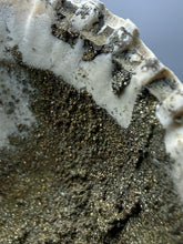 Load image into Gallery viewer, Bivalve (Pelecypoda) Fossil Sea Shell with Chalcopyrite | Mineralized Fossil Specimen | Indonesia
