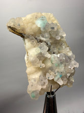 Load image into Gallery viewer, Blue-Green Chrysocolla in Botryoidal Chalcedony Cabinet Specimen | Indonesia

