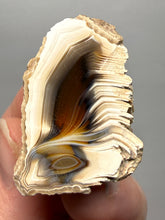 Load image into Gallery viewer, Premium Sumatra Agate (Banded Chalcedony) Display Specimen | Indonesia
