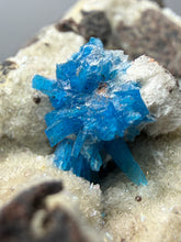 Load image into Gallery viewer, Rare Electric Blue Pentagonite on Druzy Matrix – Collector Mineral Specimen | India
